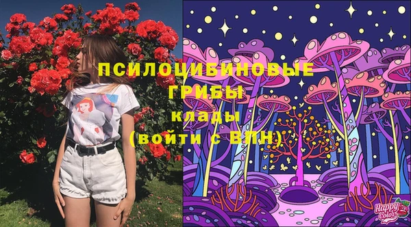 дживик Балахна