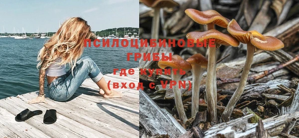 дживик Балахна