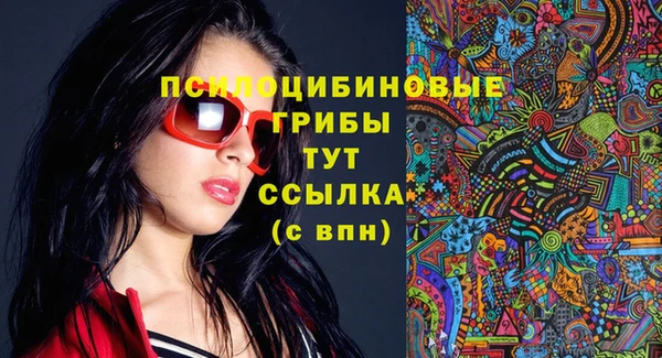дживик Балахна